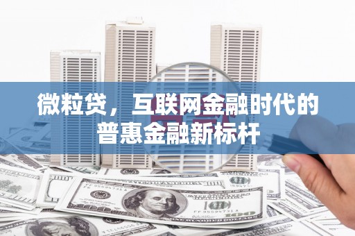 冈山微粒贷，互联网金融时代的普惠金融新标杆