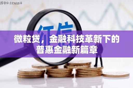 冈山微粒贷，金融科技革新下的普惠金融新篇章