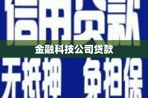 冈山金融科技公司贷款