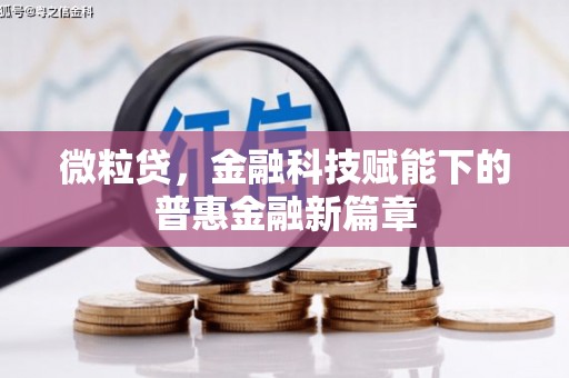冈山微粒贷，金融科技赋能下的普惠金融新篇章