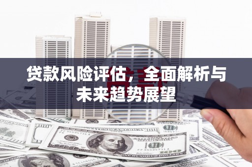 冈山贷款风险评估，全面解析与未来趋势展望