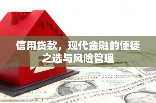 冈山信用贷款，现代金融的便捷之选与风险管理