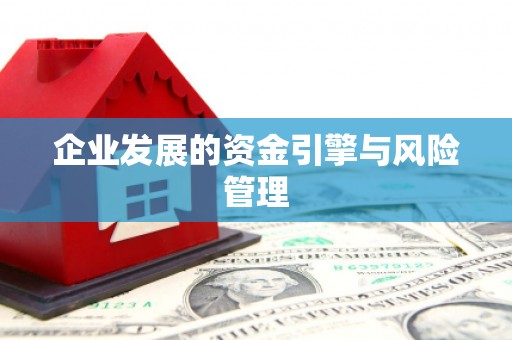 冈山企业发展的资金引擎与风险管理