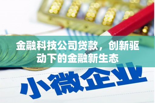冈山金融科技公司贷款，创新驱动下的金融新生态