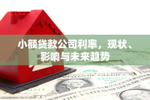 冈山小额贷款公司利率，现状、影响与未来趋势