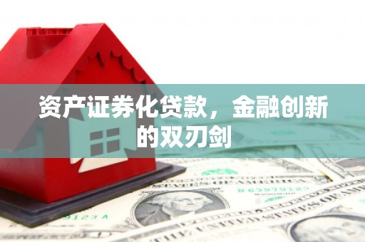 冈山资产证券化贷款，金融创新的双刃剑