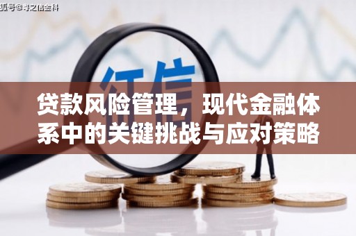 冈山贷款风险管理，现代金融体系中的关键挑战与应对策略