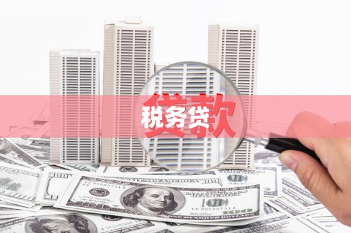 冈山税务贷