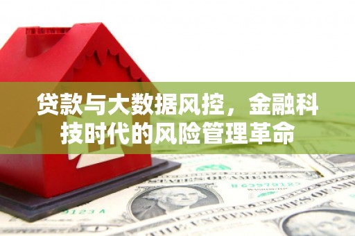 冈山贷款与大数据风控，金融科技时代的风险管理革命