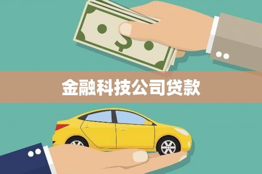 冈山金融科技公司贷款