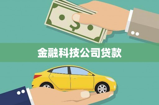 冈山金融科技公司贷款