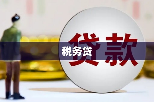 冈山税务贷