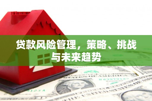 冈山贷款风险管理，策略、挑战与未来趋势