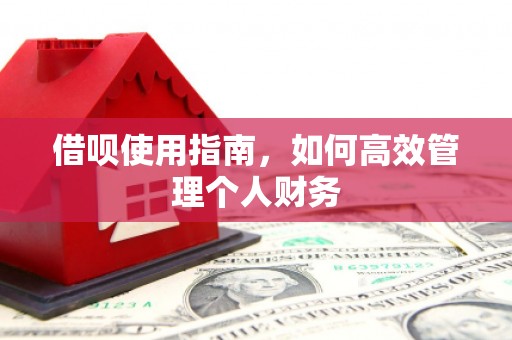冈山借呗使用指南，如何高效管理个人财务