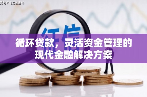 冈山循环贷款，灵活资金管理的现代金融解决方案