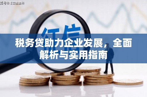 冈山税务贷助力企业发展，全面解析与实用指南