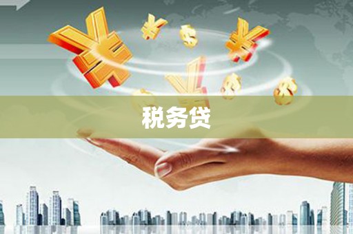 冈山税务贷
