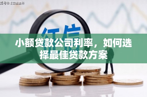 冈山小额贷款公司利率，如何选择最佳贷款方案