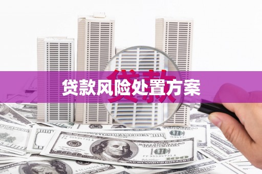 冈山贷款风险处置方案