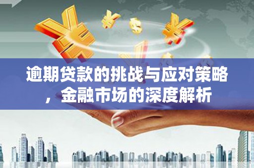 冈山逾期贷款的挑战与应对策略，金融市场的深度解析