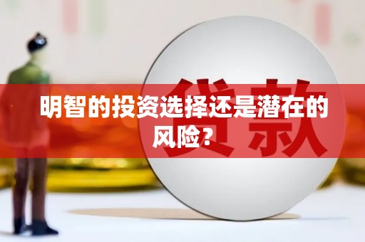冈山明智的投资选择还是潜在的风险？
