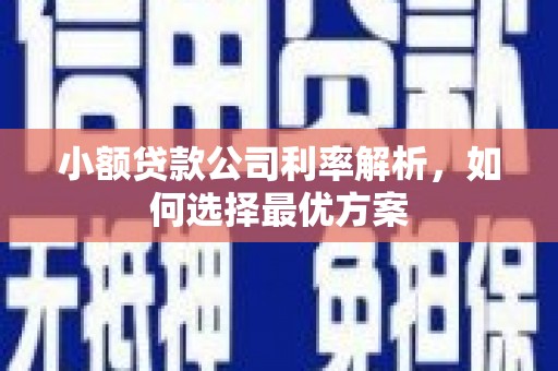 冈山小额贷款公司利率解析，如何选择最优方案