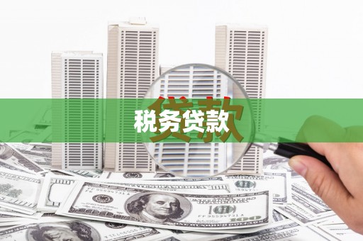 冈山税务贷款
