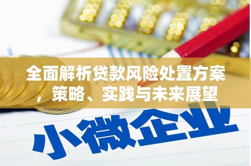 冈山全面解析贷款风险处置方案，策略、实践与未来展望