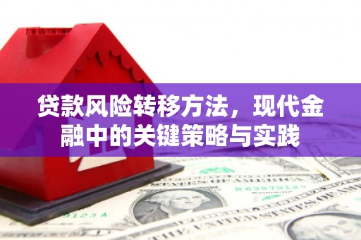 冈山贷款风险转移方法，现代金融中的关键策略与实践