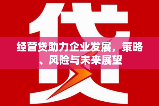 冈山经营贷助力企业发展，策略、风险与未来展望