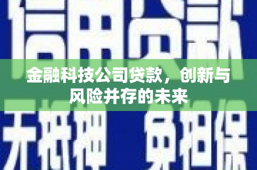 冈山金融科技公司贷款，创新与风险并存的未来