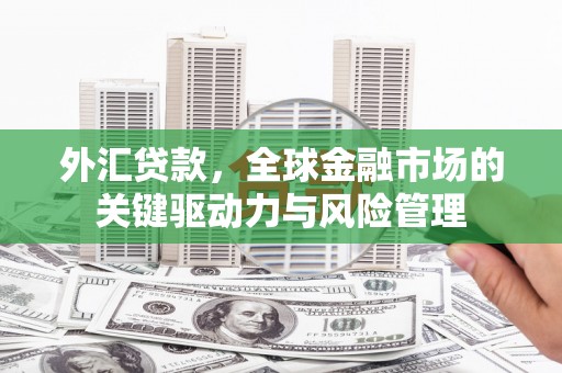 冈山外汇贷款，全球金融市场的关键驱动力与风险管理