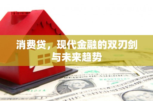 冈山消费贷，现代金融的双刃剑与未来趋势