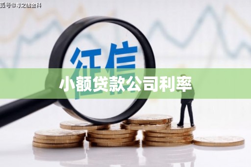 冈山小额贷款公司利率