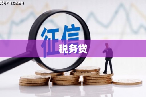 冈山税务贷
