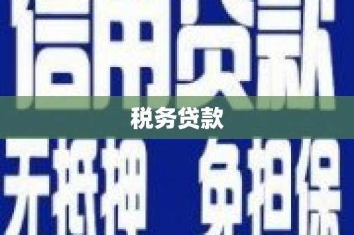 冈山税务贷款