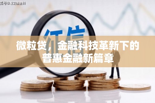 冈山微粒贷，金融科技革新下的普惠金融新篇章