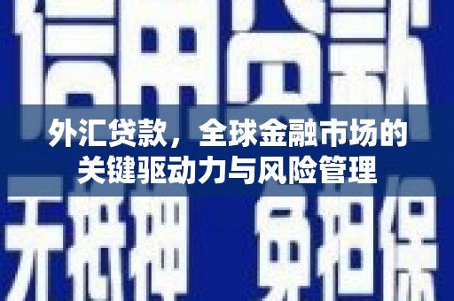 冈山外汇贷款，全球金融市场的关键驱动力与风险管理