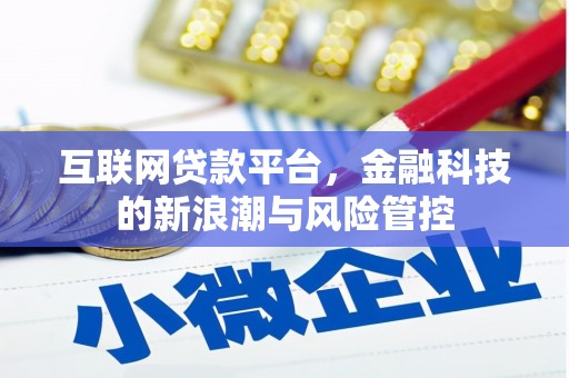 冈山互联网贷款平台，金融科技的新浪潮与风险管控