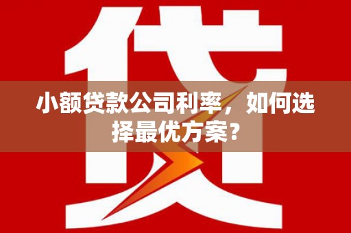 冈山小额贷款公司利率，如何选择最优方案？