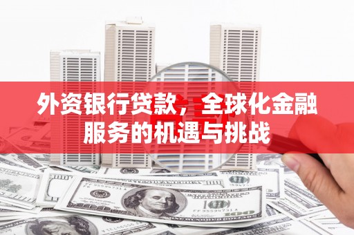 冈山外资银行贷款，全球化金融服务的机遇与挑战