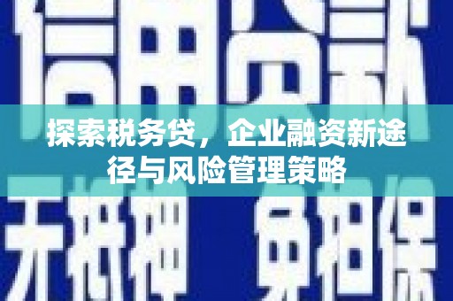 冈山探索税务贷，企业融资新途径与风险管理策略