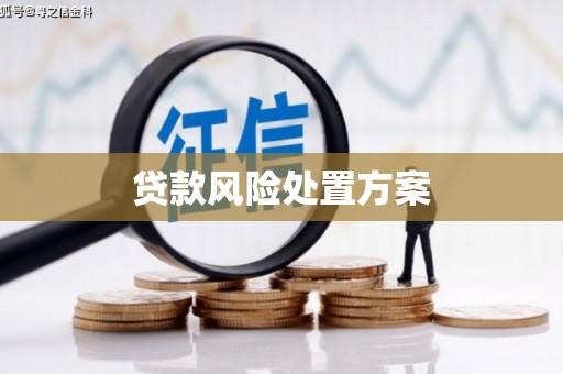 冈山贷款风险处置方案