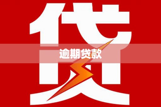 冈山逾期贷款