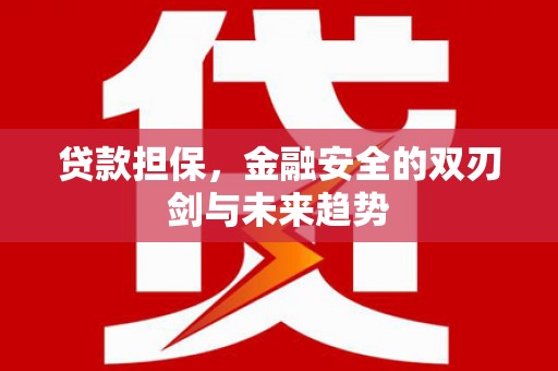 冈山贷款担保，金融安全的双刃剑与未来趋势