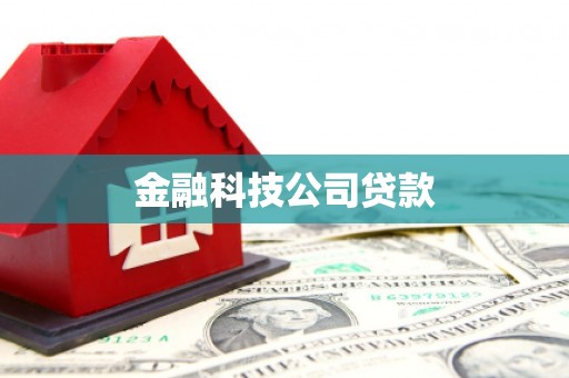 冈山金融科技公司贷款