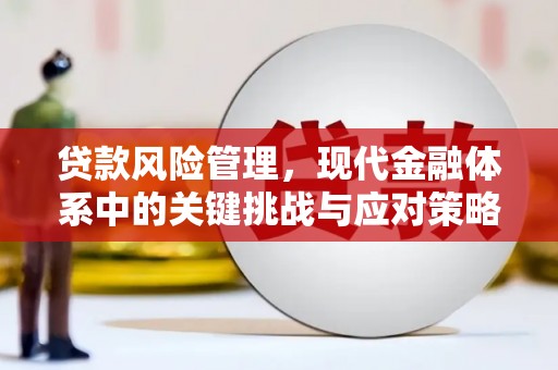 冈山贷款风险管理，现代金融体系中的关键挑战与应对策略