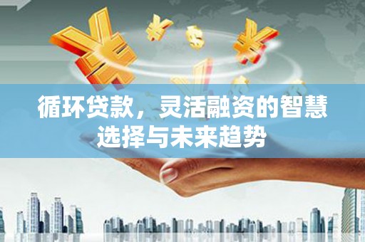 冈山循环贷款，灵活融资的智慧选择与未来趋势