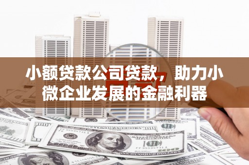 冈山小额贷款公司贷款，助力小微企业发展的金融利器