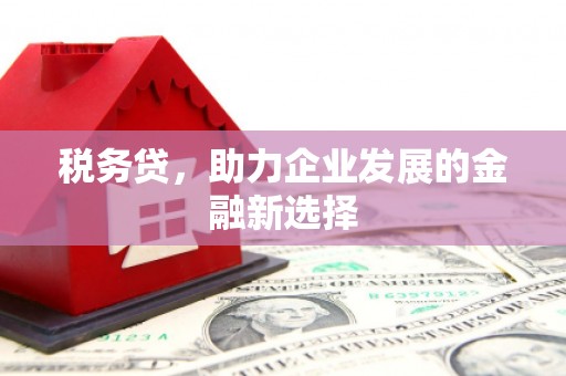 冈山税务贷，助力企业发展的金融新选择